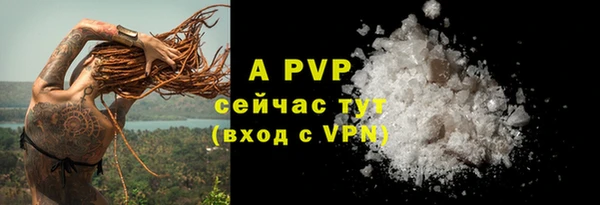 прущие крисы Богданович