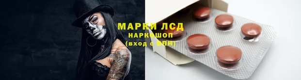 прущие крисы Богданович